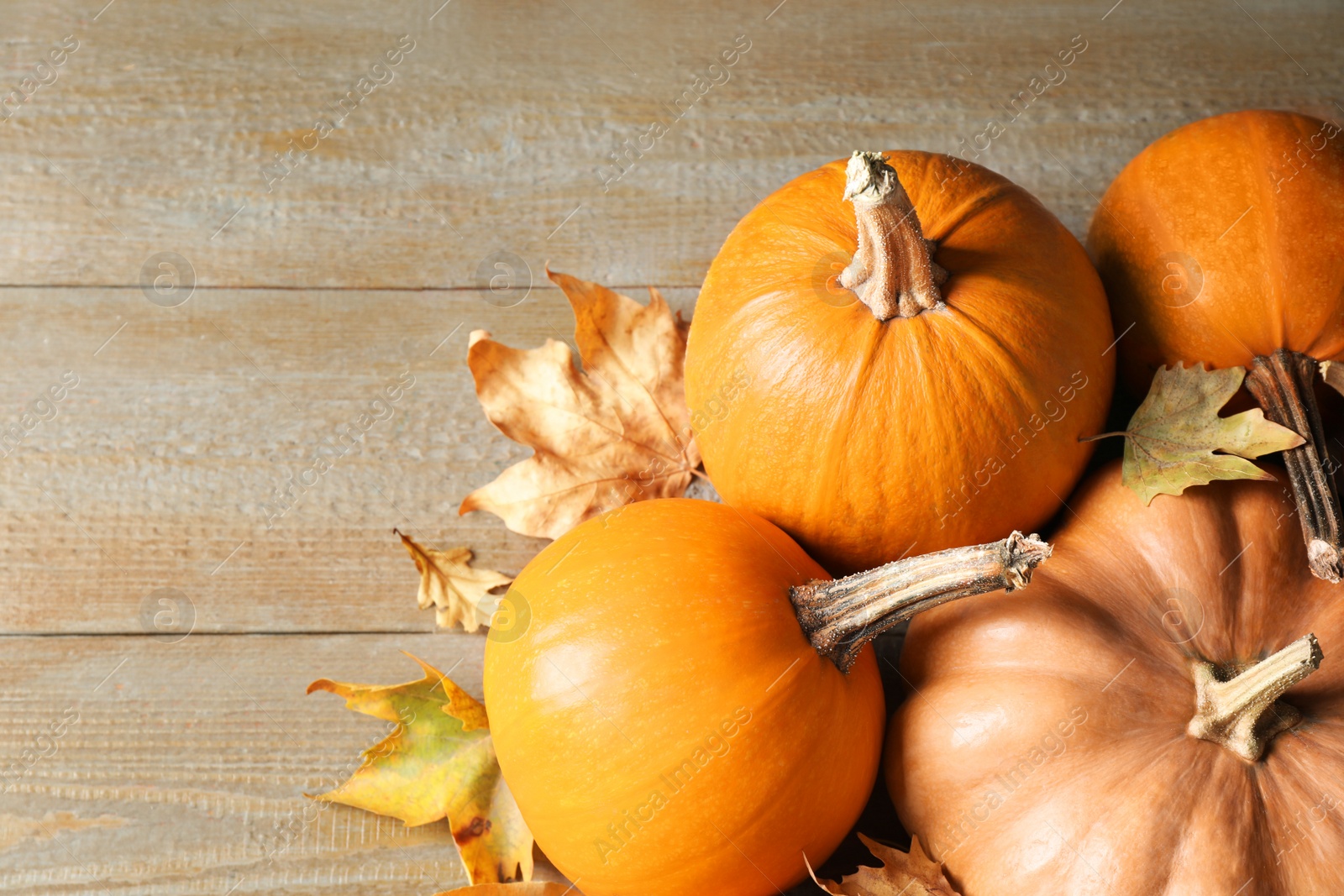 Photo of Ripe pumpkins on wooden background, above view. Holiday decoration