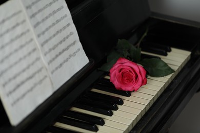 Photo of Beautiful pink rose and musical notes on piano