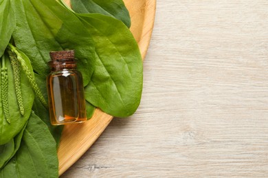 Photo of Bottle of broadleaf plantain extract and leaves on wooden table, top view. Space for text