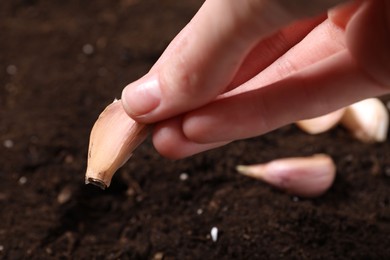 Woman planting garlic cloves into fertile soil, closeup