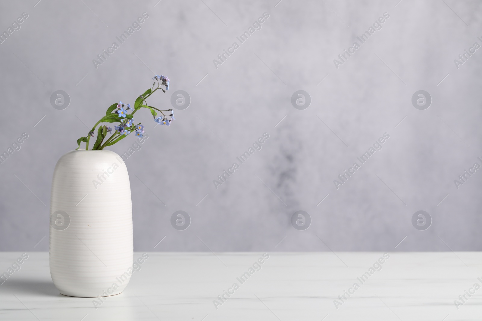 Photo of Beautiful forget-me-not flowers in vase on white marble table. Space for text