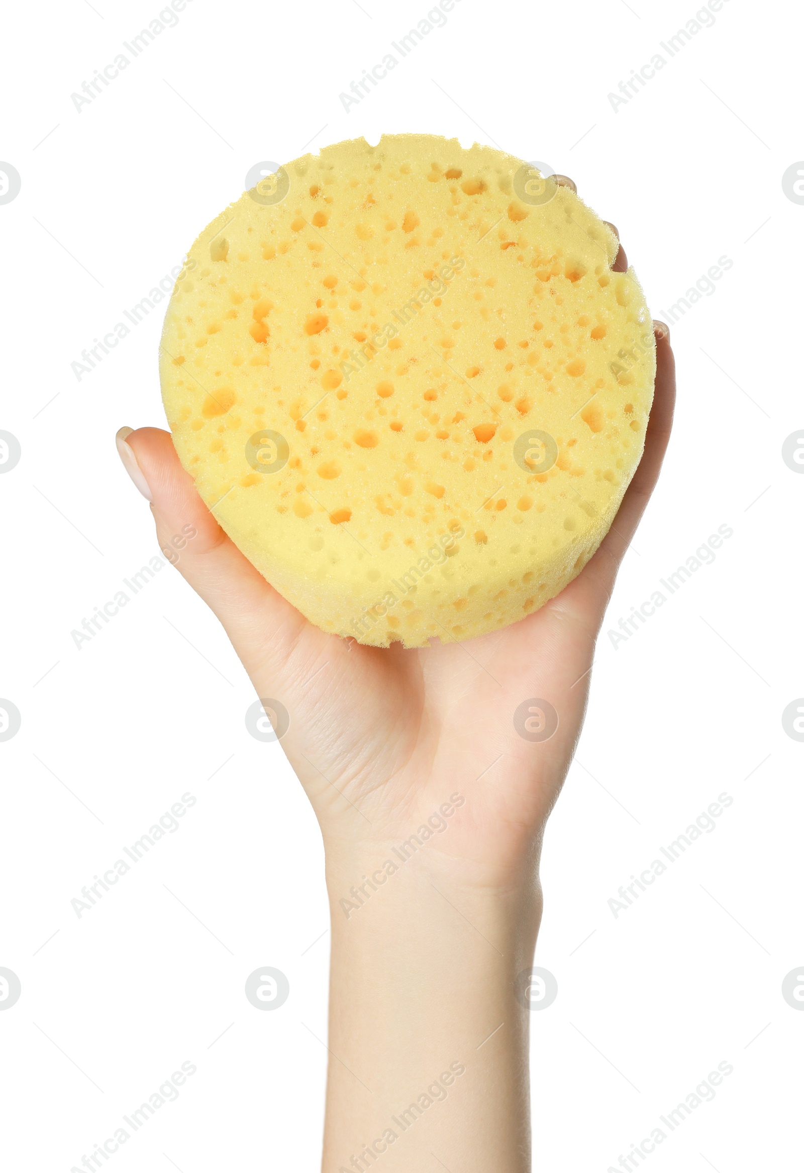 Photo of Woman holding new yellow sponge on white background, closeup