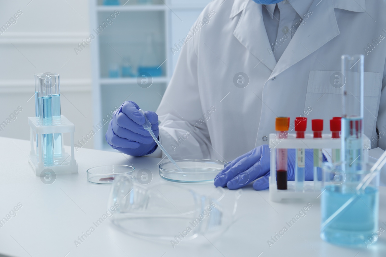 Photo of Scientist dripping sample into Petri dish in laboratory, closeup. Medical research