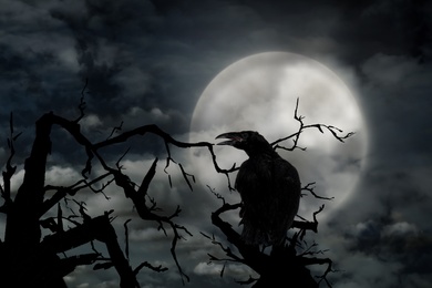 Image of Creepy black crow croaking in misty forest on full moon night