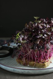 Photo of Fresh radish microgreen and scissors on grey table