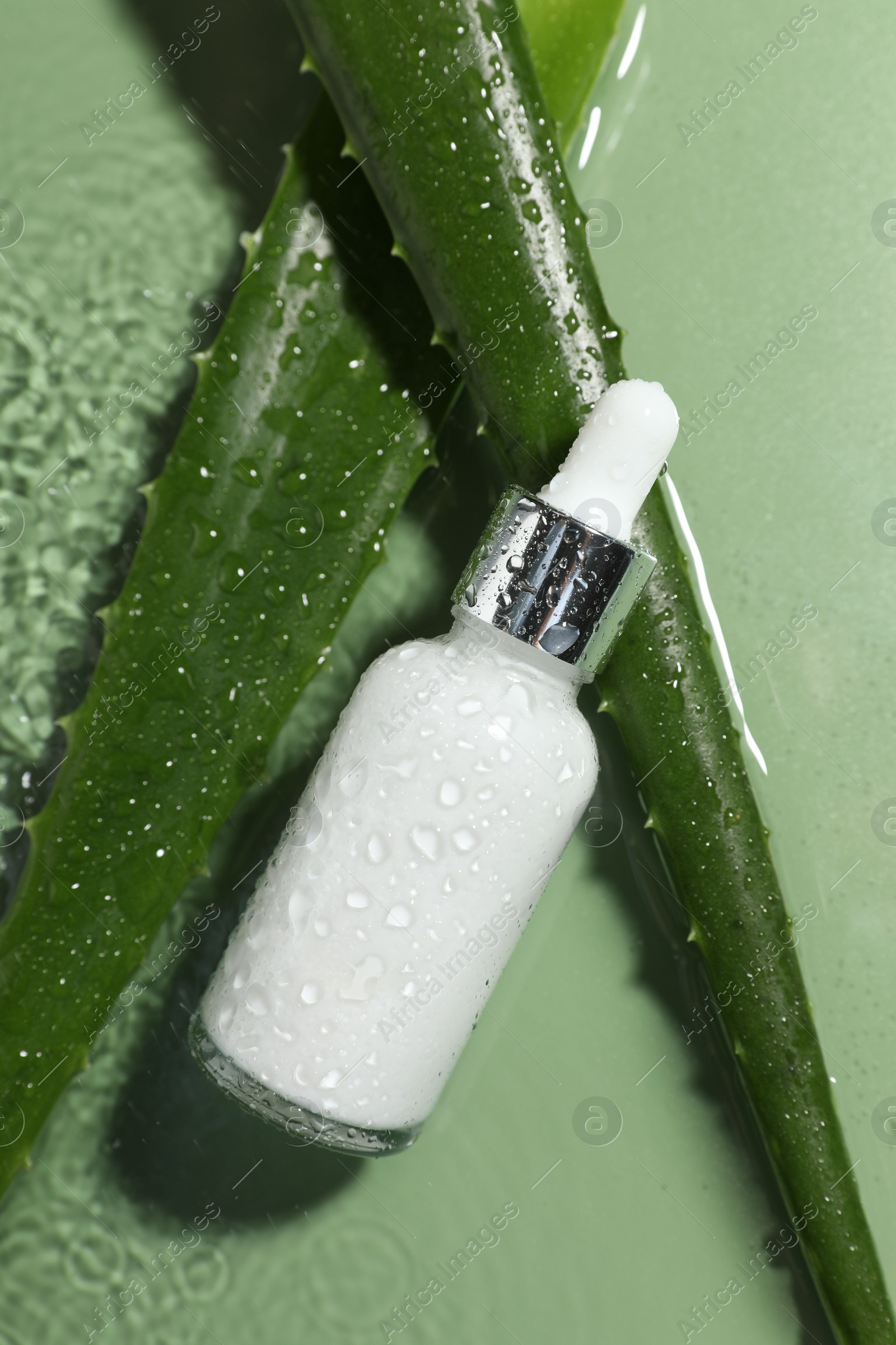 Photo of Bottle of cosmetic product and aloe leaves in water on pale green background, flat lay