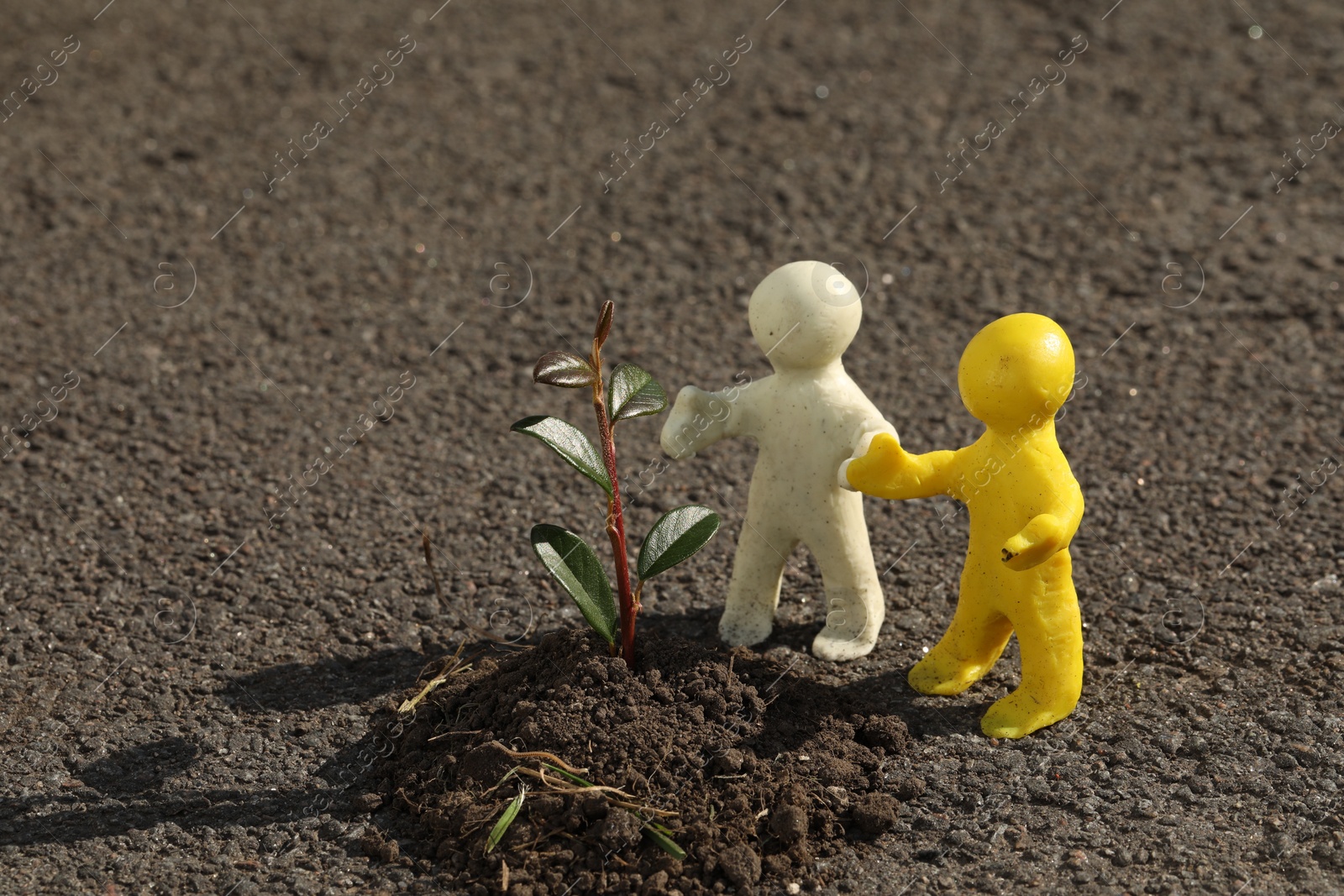 Photo of Human figures with soil and green seedling on asphalt road