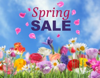 Image of Spring sale flyer design with text, beautiful flowers and blue sky