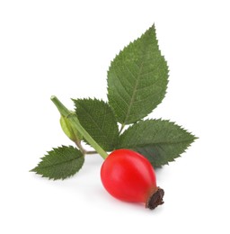 Photo of Ripe rose hip berry with green leaves on white background
