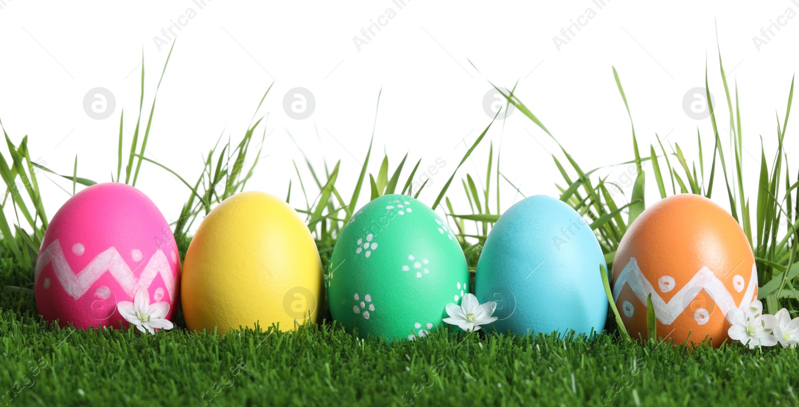 Photo of Colorful Easter eggs and flowers on green grass against white background