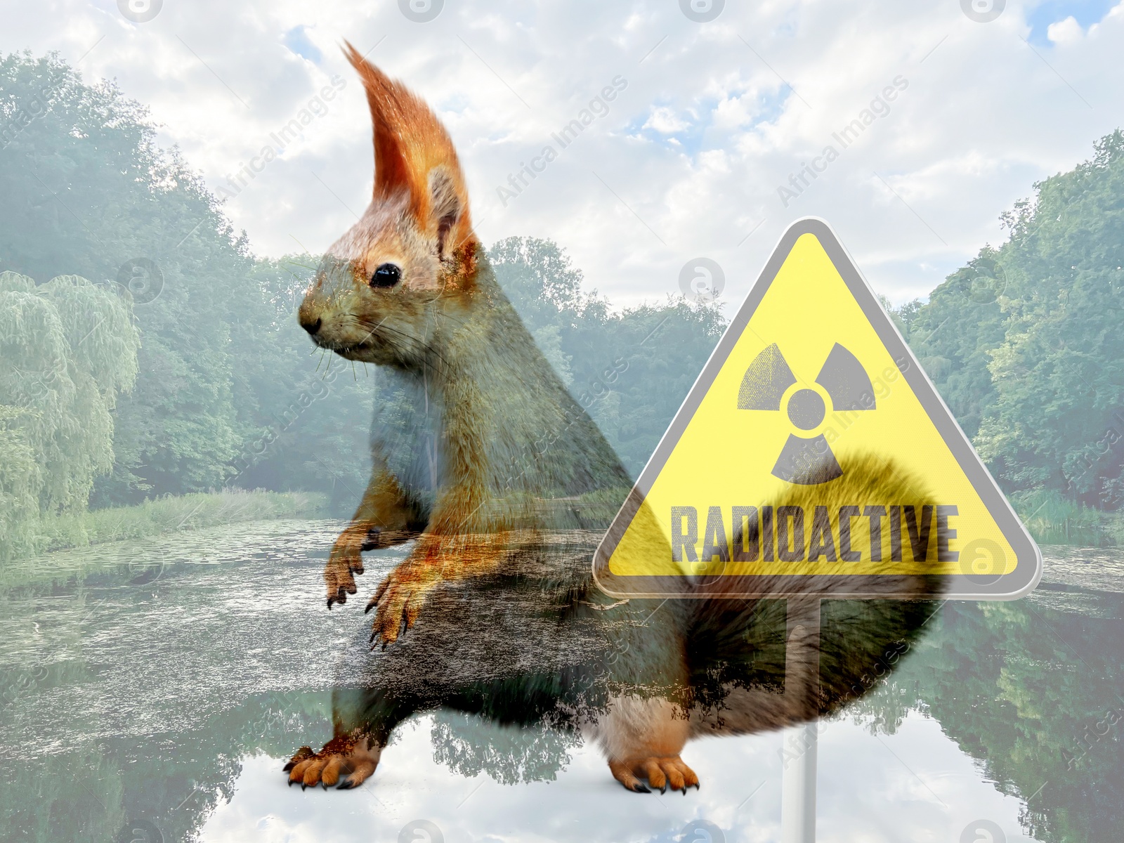 Image of Double exposure of squirrel and lake with hazard sign. Radioactive pollution