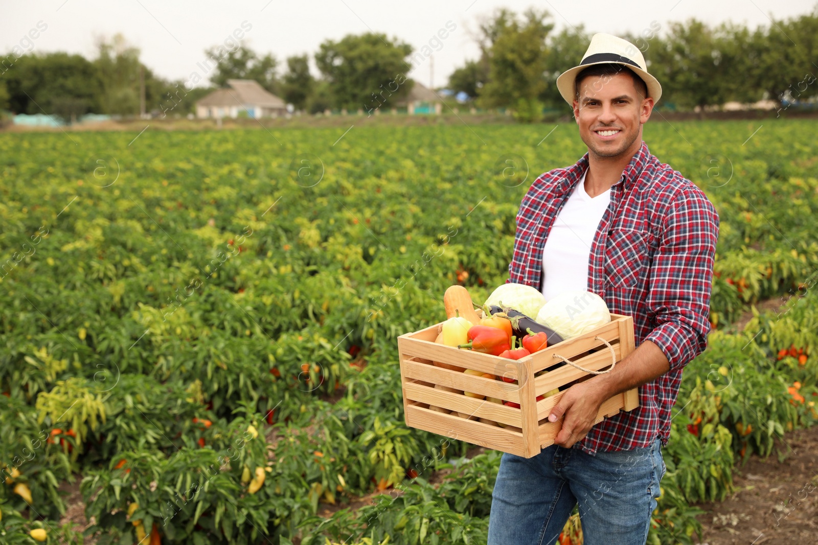 Photo of Farmer with wooden crate full of different vegetables in field. Harvesting time