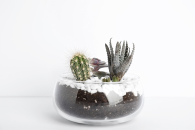 Photo of Glass florarium with different succulents on white background