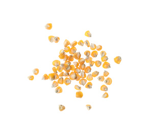 Photo of Pile of raw dry corn seeds on white background, top view. Vegetable planting