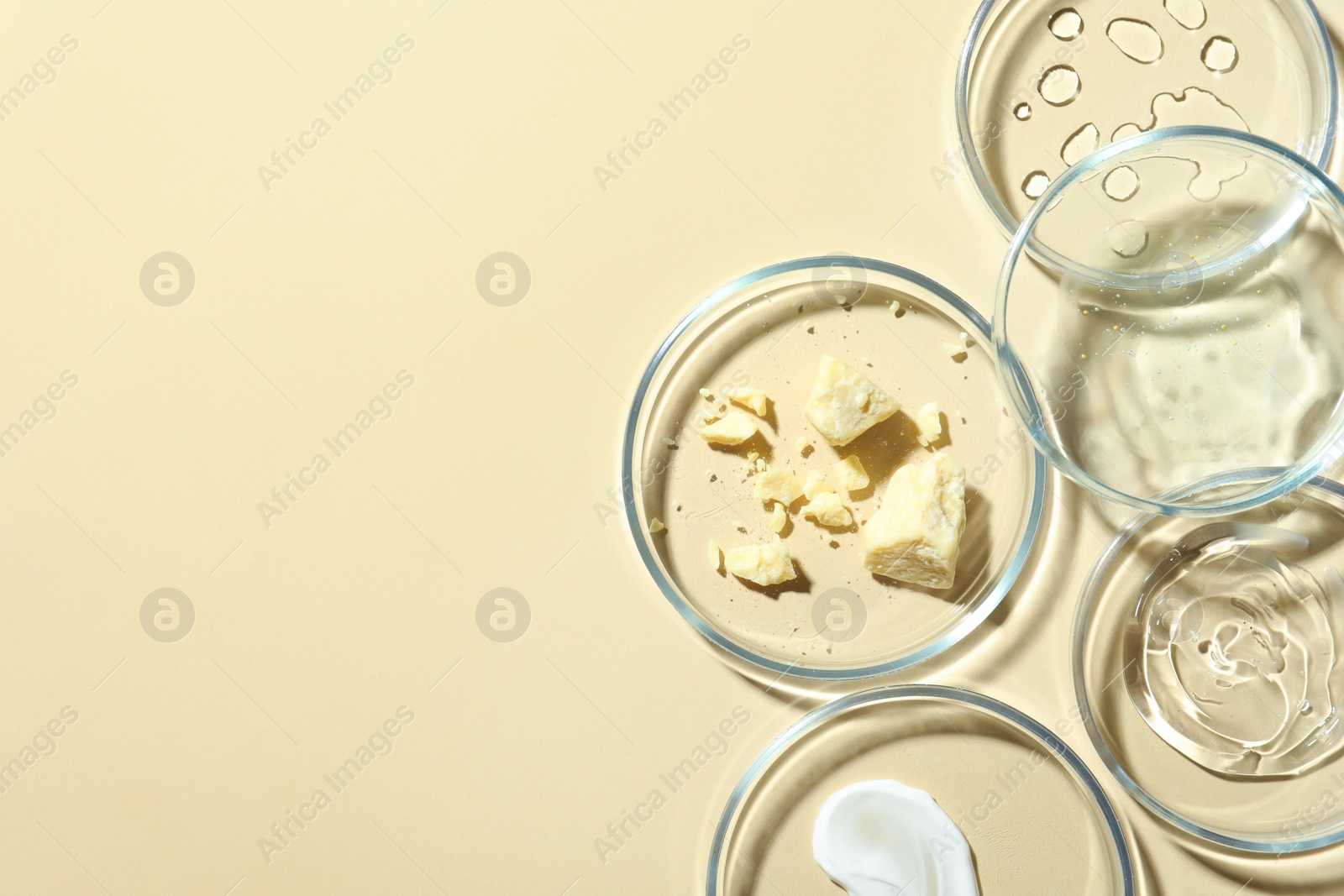 Photo of Many Petri dishes and cosmetic products on beige background, flat lay. Space for text