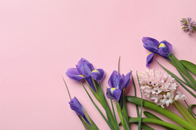 Flat lay composition with spring flowers on pink background. Space for text