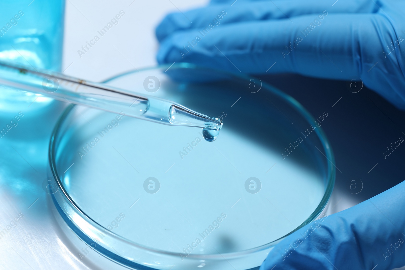 Photo of Scientist dripping liquid from pipette into petri dish at white table, closeup