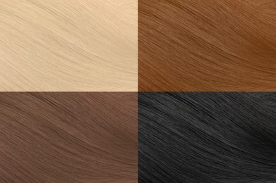 Color hair samples palette, closeup view. Collage