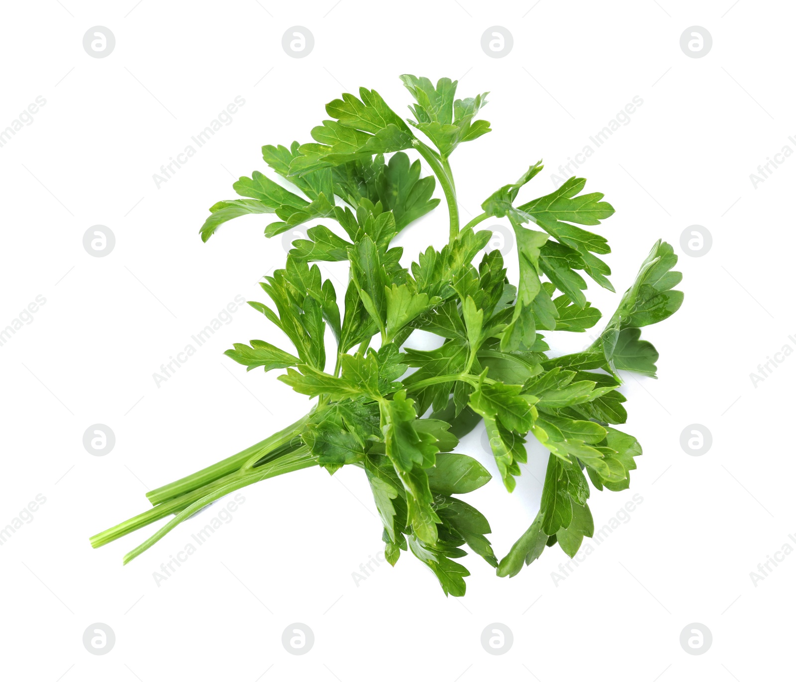 Photo of Fresh green parsley on white background, top view