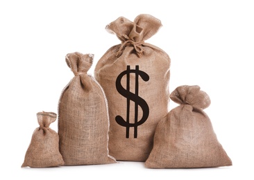 Image of Burlap bags and one with dollar sign on white background