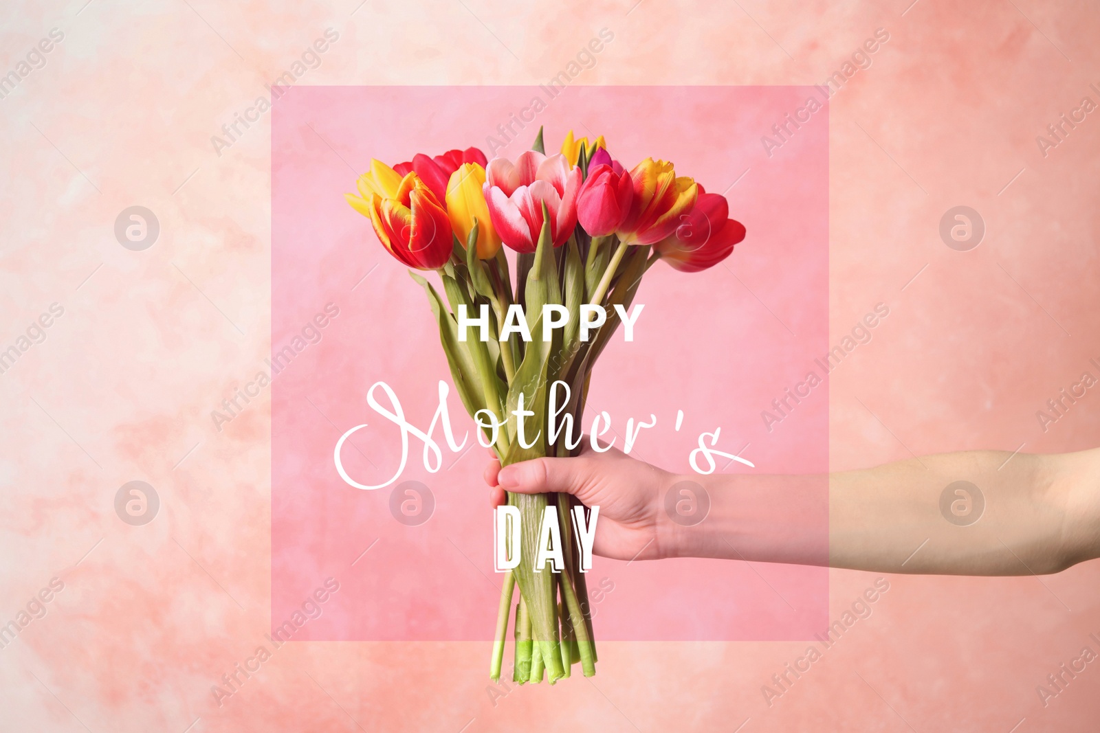 Image of Woman with bouquet of tulips and phrase HAPPY MOTHER'S DAY on light pink background, closeup