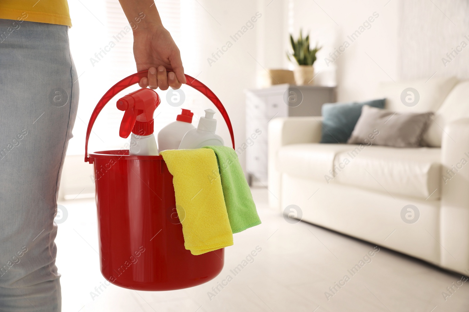 Photo of Woman holding bucket with cleaning supplies in living room, closeup. Space for text