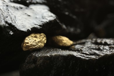 Shiny gold nuggets on wet stones, closeup. Space for text