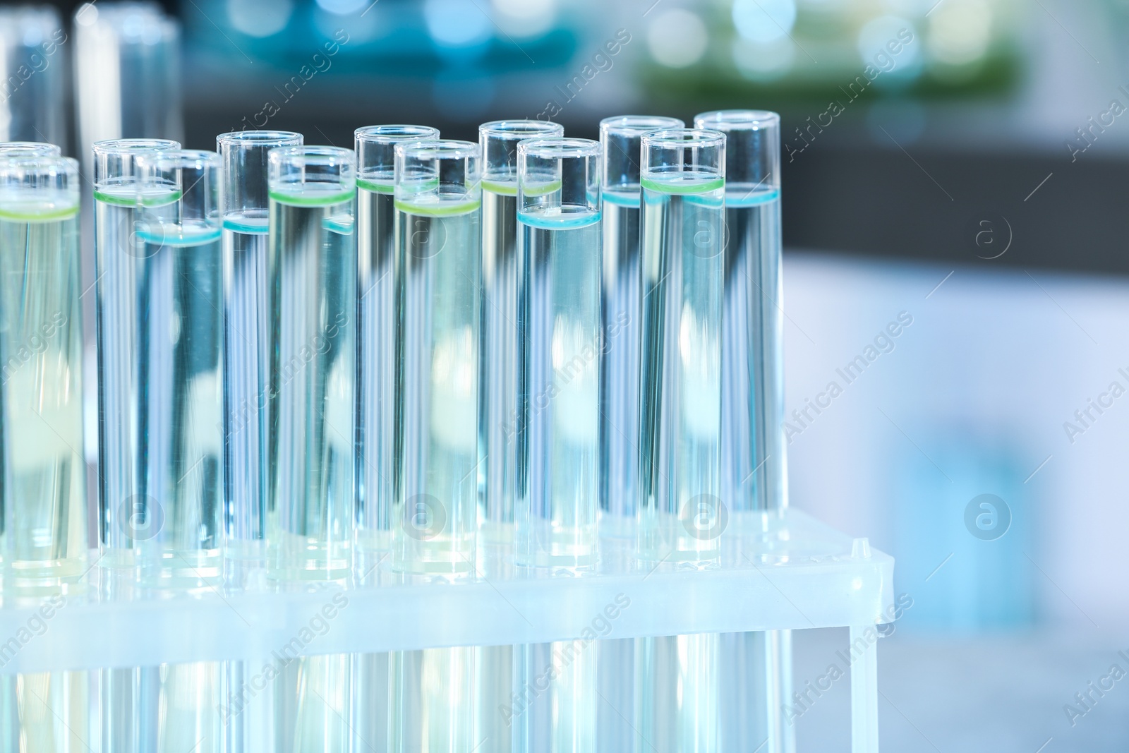 Photo of Test tubes with liquid samples for analysis in laboratory, closeup