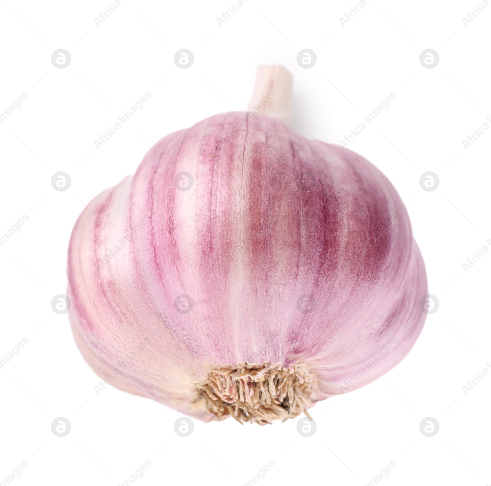 Photo of Head of fresh garlic isolated on white, top view