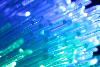 Photo of Optical fiber strands transmitting different color lights, macro view