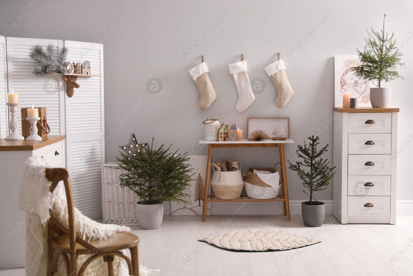 Photo of Beautiful room with potted fir trees. Interior design