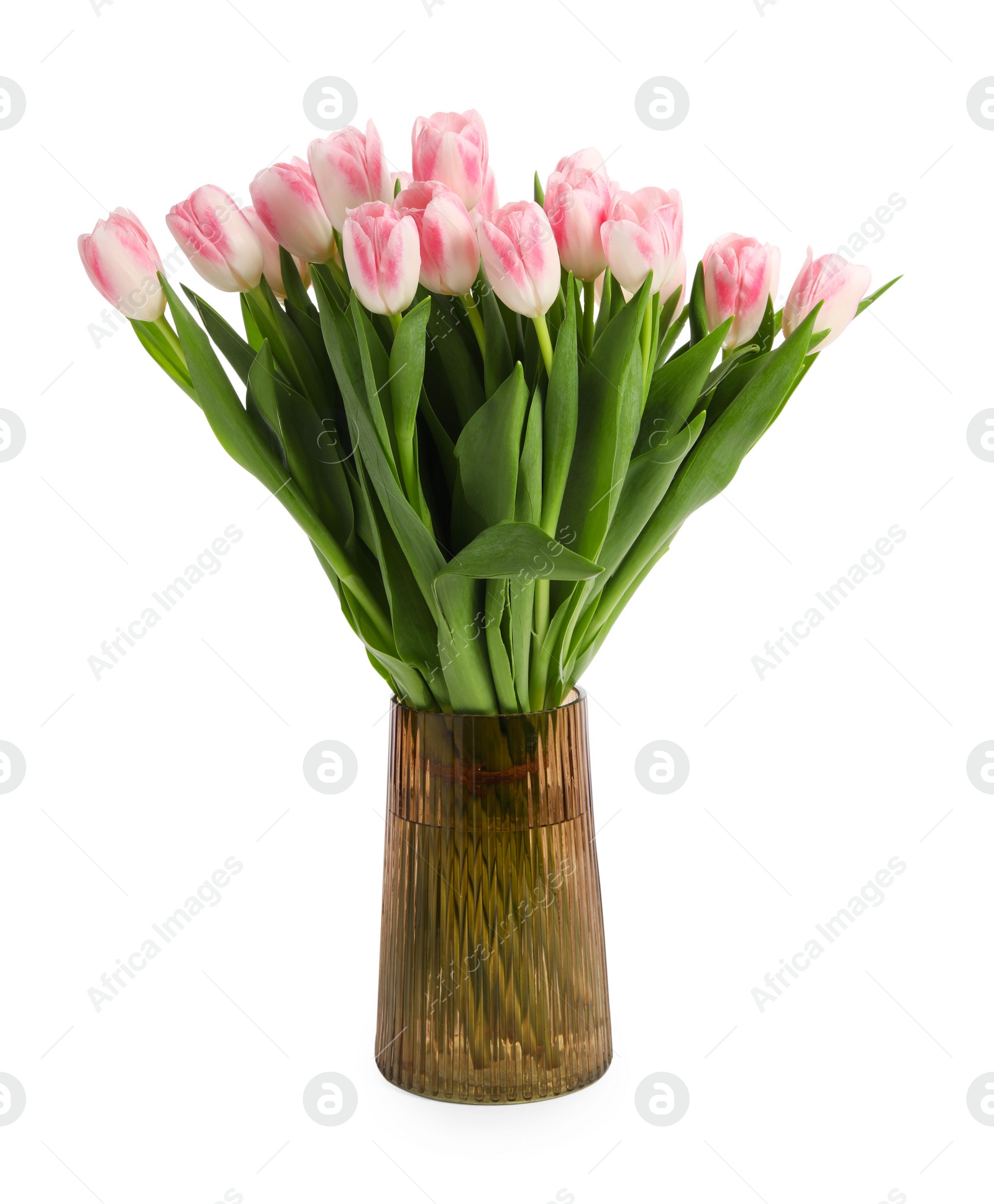 Photo of Bouquet of beautiful tulips in vase isolated on white