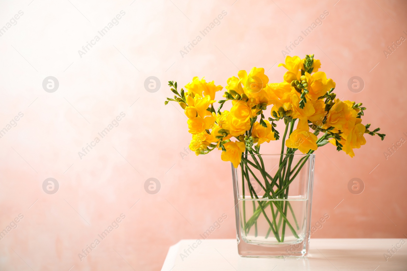 Photo of Beautiful blooming yellow freesias in glass vase on table against pink background. Space for text