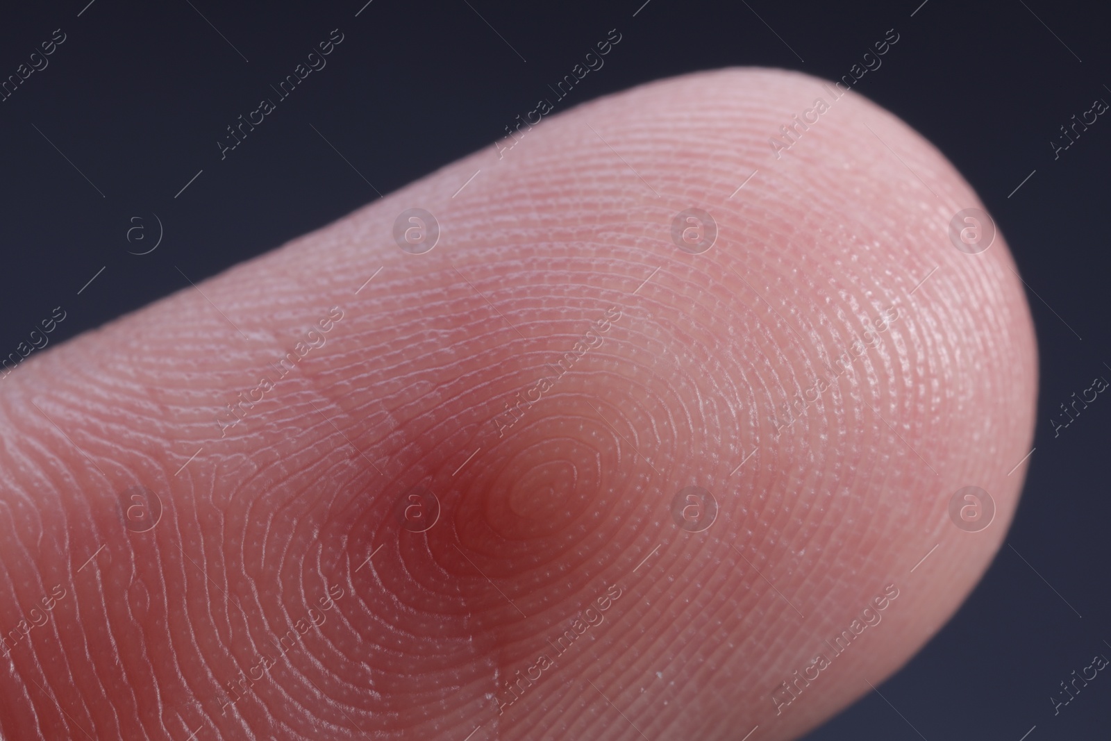 Photo of Finger with friction ridges on dark background, macro view