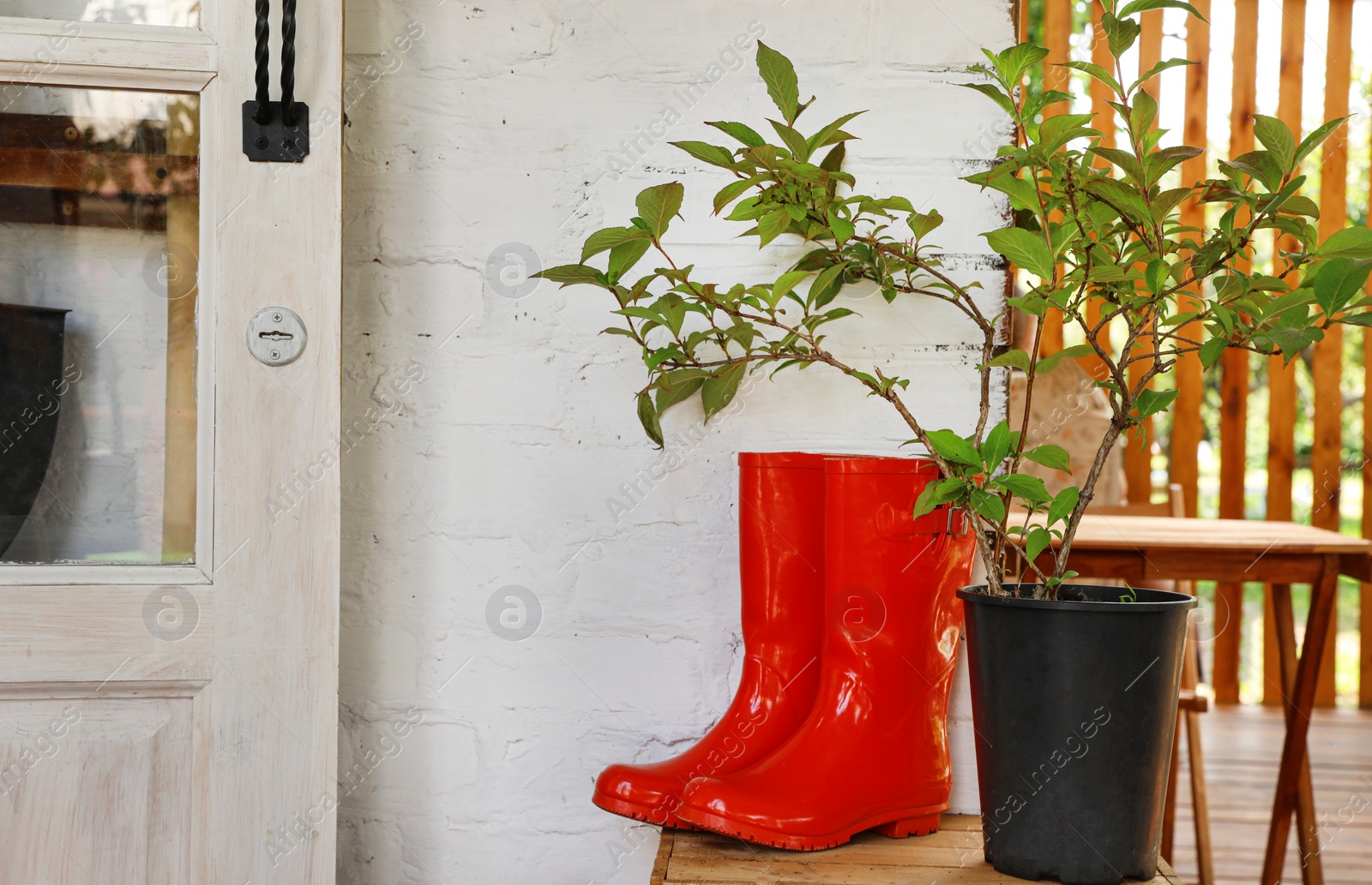 Photo of Rubber boots and potted plant on wooden crate near house, space for text. Gardening tools