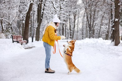 Photo of Woman with adorable Pembroke Welsh Corgi dog in snowy park