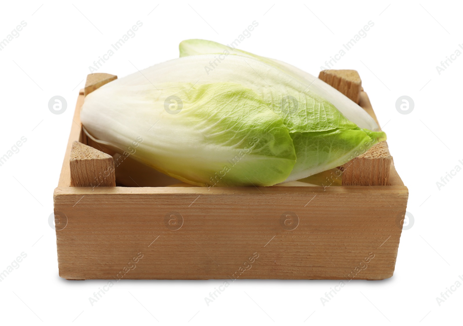 Photo of Raw ripe chicory in wooden crate on white background