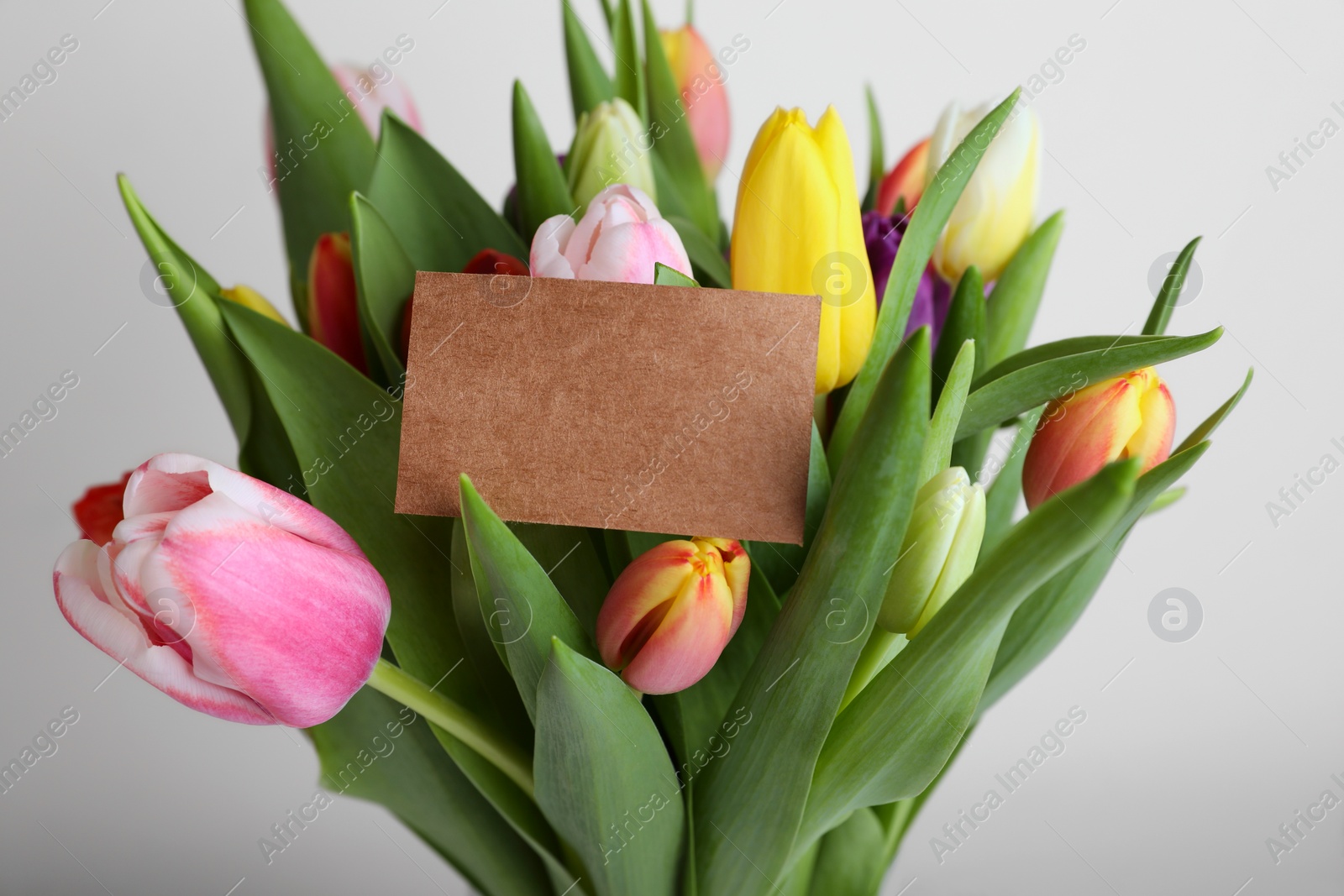 Photo of Bouquet of colorful tulips with blank card on white background, closeup