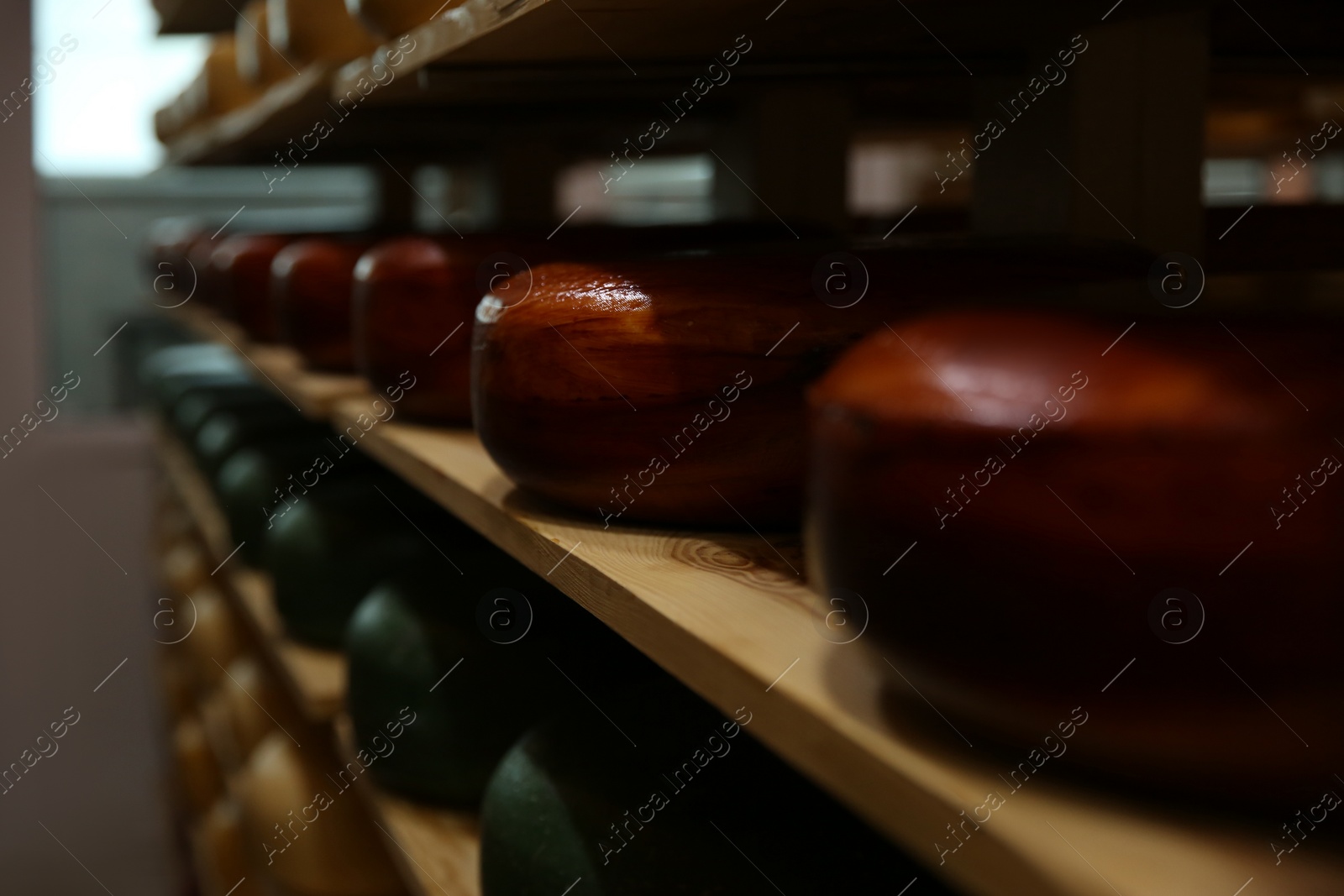 Photo of Fresh cheese heads on rack in factory warehouse, closeup