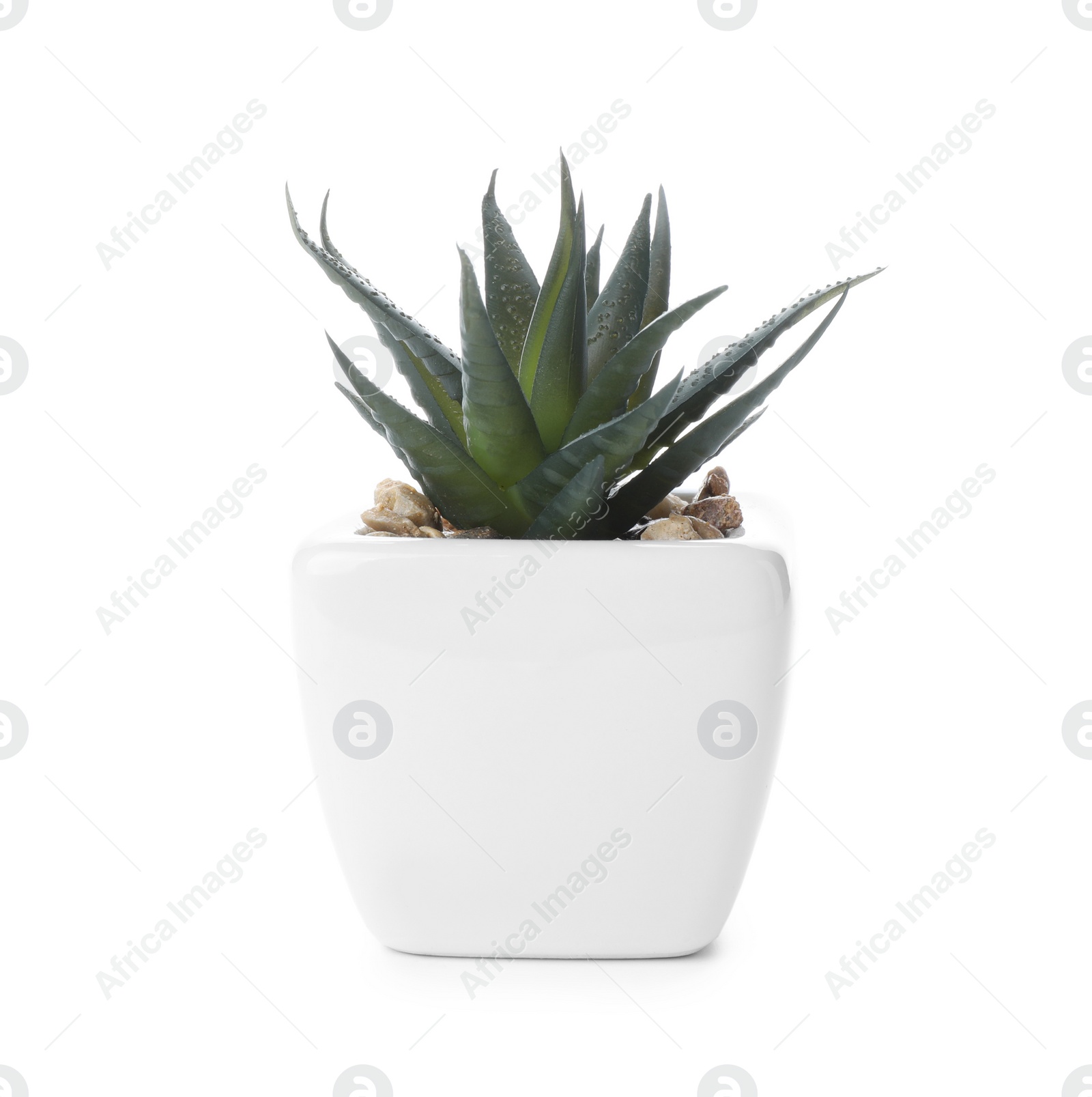 Photo of Beautiful artificial plant in flower pot isolated on white