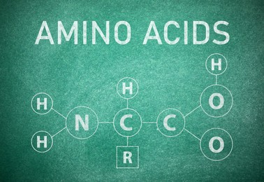 Illustration of Text AMINO ACIDS and chemical formula written on green chalkboard 
