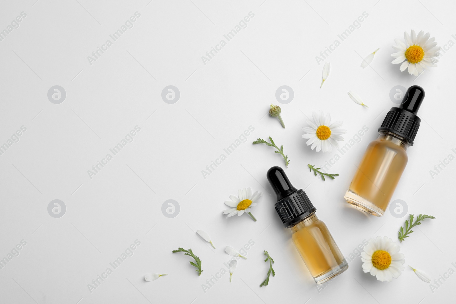 Photo of Composition with chamomile flowers and cosmetic bottles of essential oil on white background, top view
