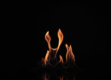 Photo of Beautiful bright fire flames on black background