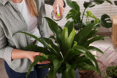 Woman spraying houseplants with water after transplanting at wooden table indoors, closeup