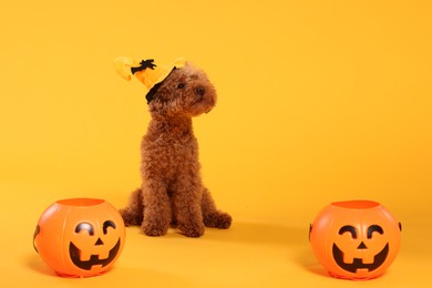Photo of Happy Halloween. Cute Maltipoo dog with decorated hat and pumpkin treat buckets on orange background