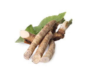 Fresh horseradish roots and leaf isolated on white