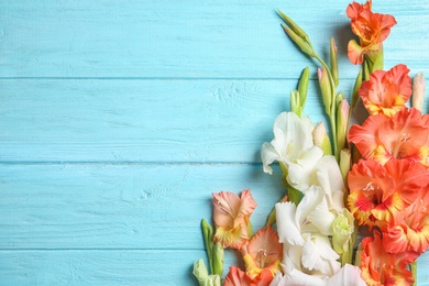 Flat lay composition with beautiful gladiolus flowers on wooden background