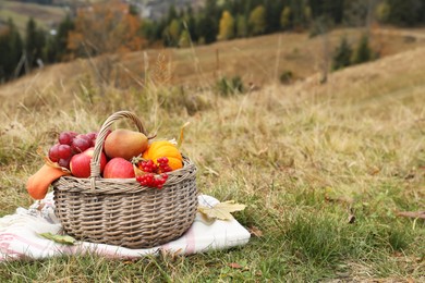 Wicker picnic basket with fruits, autumn leaves and plaid on green grass outdoors, space for text