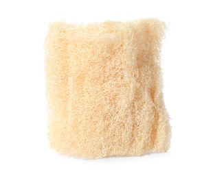 Photo of Natural shower loofah sponge isolated on white