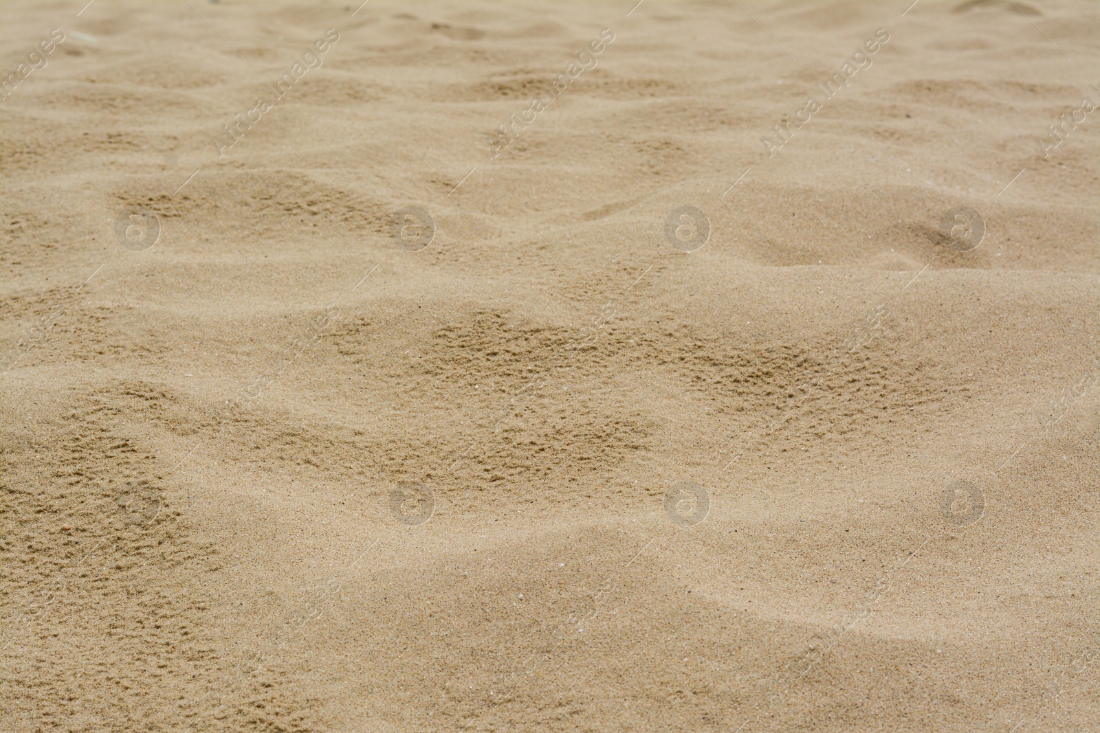 Photo of Texture of sandy beach as background, closeup